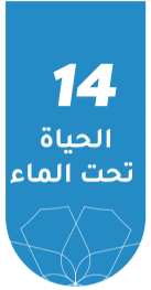 الحياة تحت الماء