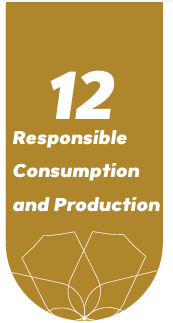 Responsible Consumption and Production 