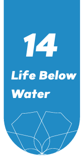 Life Below Water