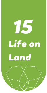 Life on Land