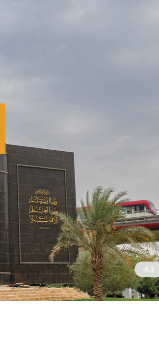 Sustainable Cities and Communities 