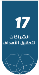 الشراكات لتحقيق الأهداف