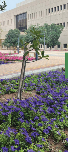 العمل المناخي