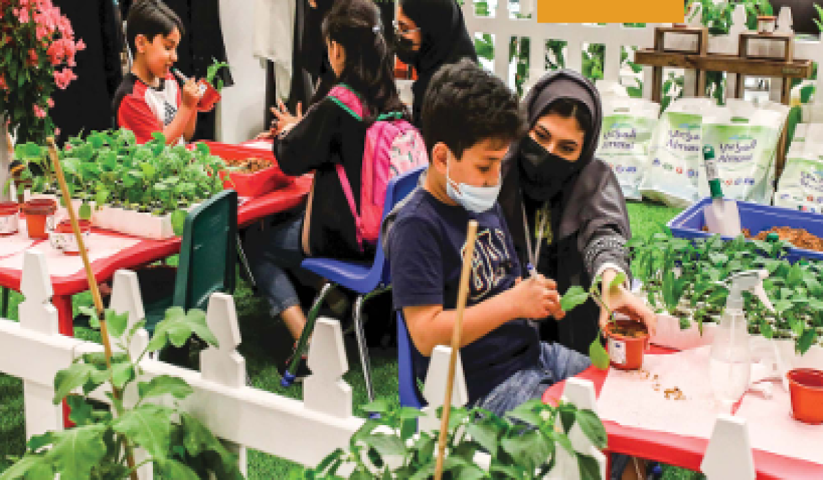 أمثلة على الأنشطة