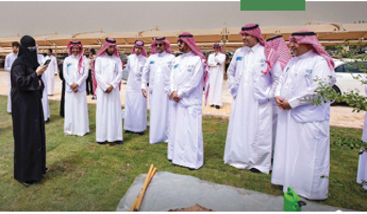 أمثلة على الأنشطة