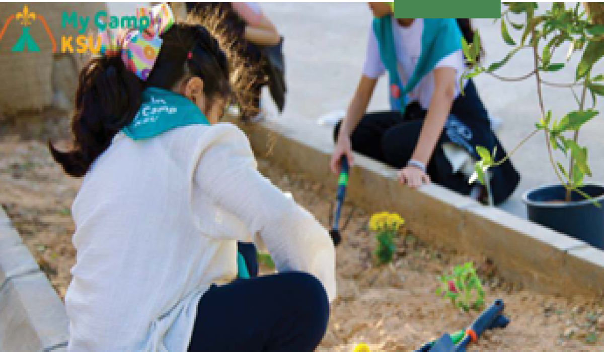 أمثلة على الأنشطة